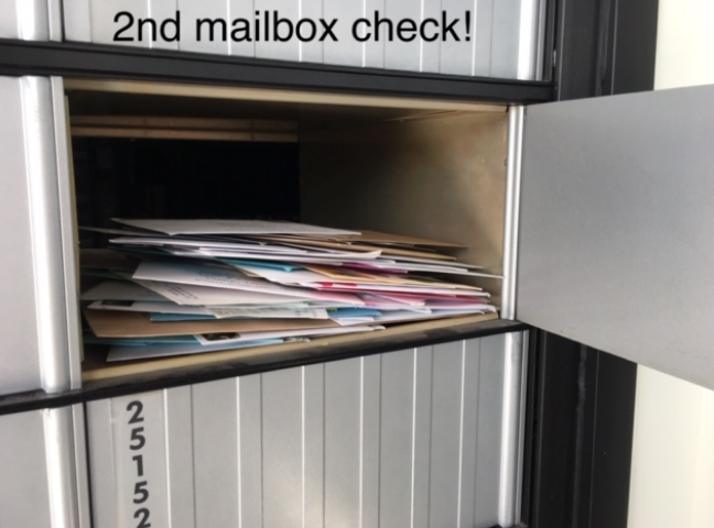 Screen Shot 2019-08-19 at 5.49.59 PM.png